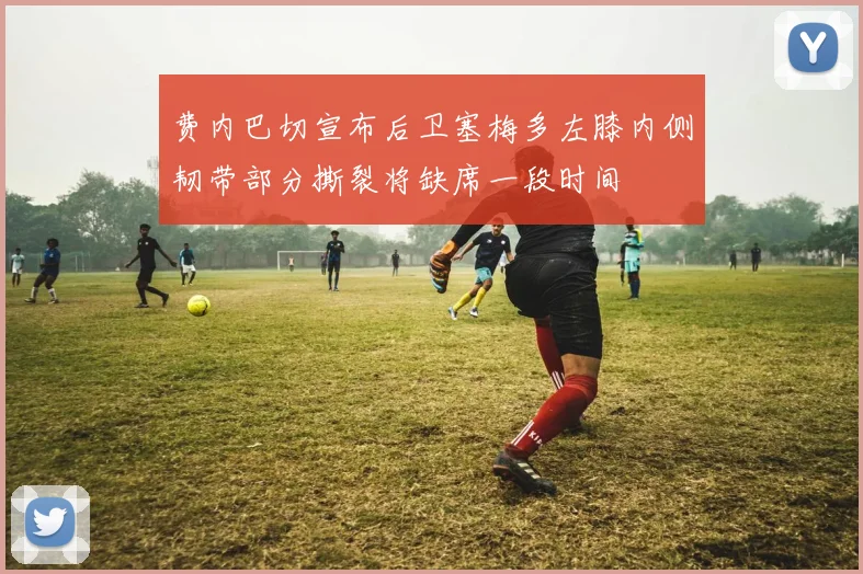 费内巴切宣布后卫塞梅多左膝内侧韧带部分撕裂将缺席一段时间