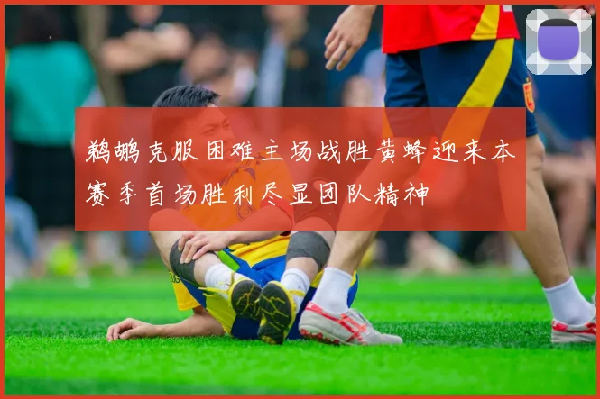 鹈鹕克服困难主场战胜黄蜂迎来本赛季首场胜利尽显团队精神